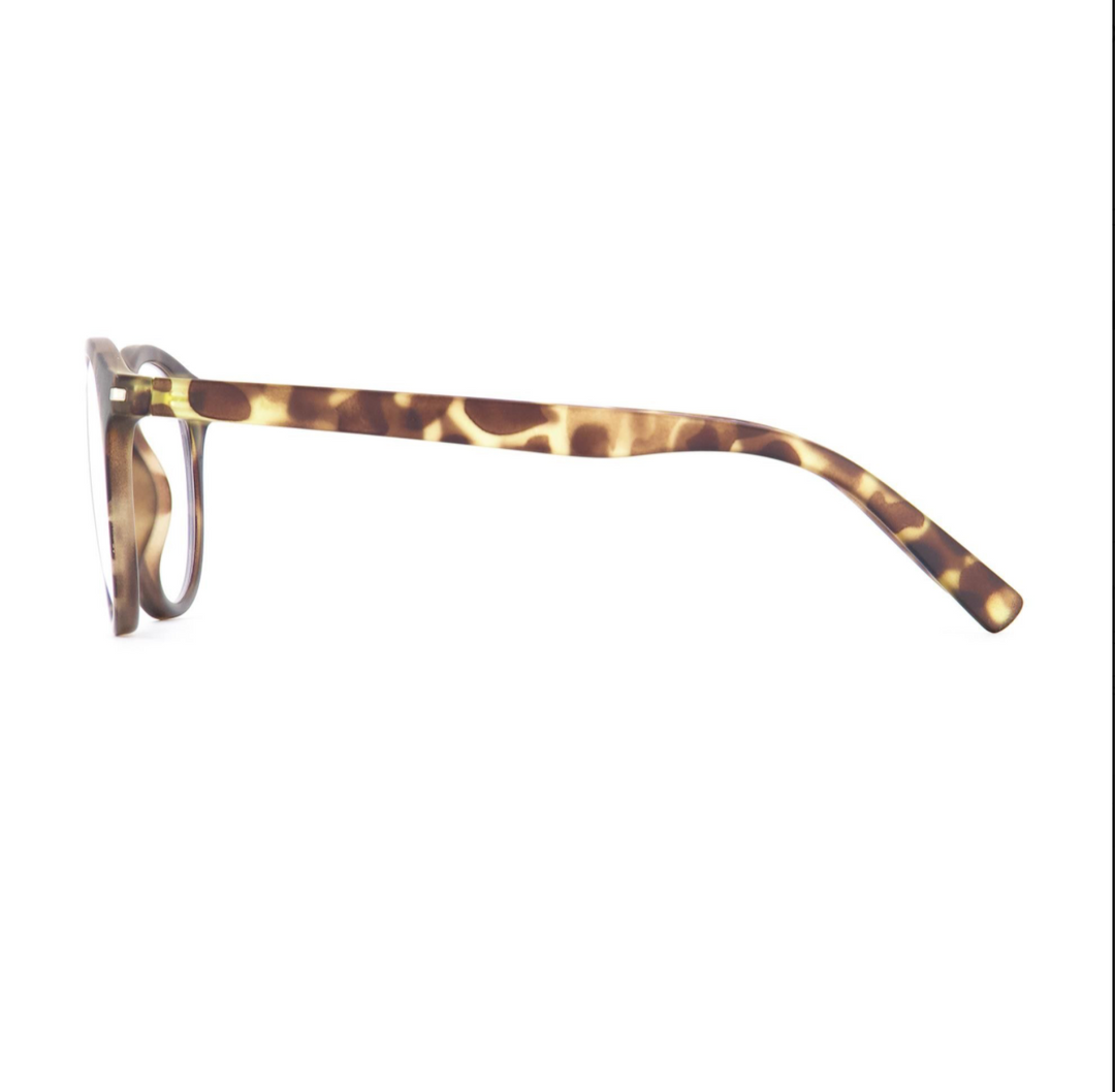 Sinner Sunglasses - PATNEM - MATTE DUAL OLIVE / TORTOISE