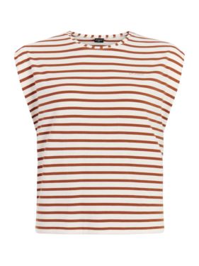Protest PRTFancier t-shirt - Sugar Brown