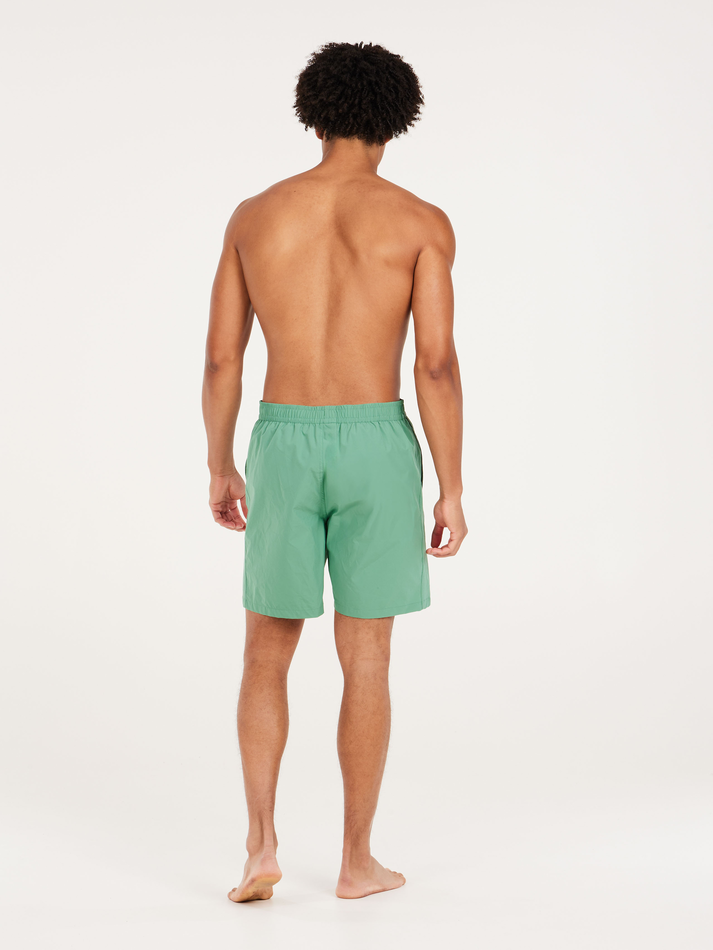 Protest PRTBAKY beach short - Frosty Green