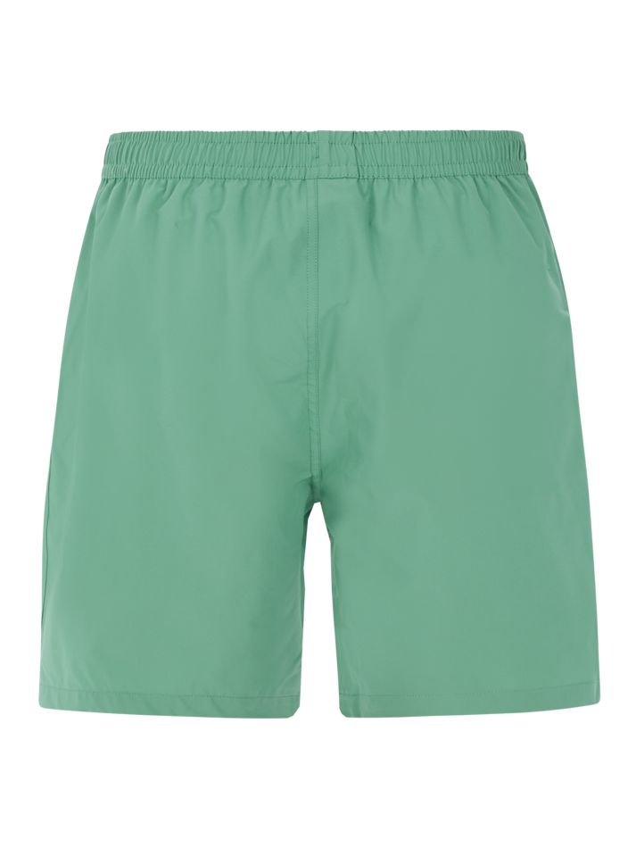 Protest PRTBAKY beach short - Frosty Green