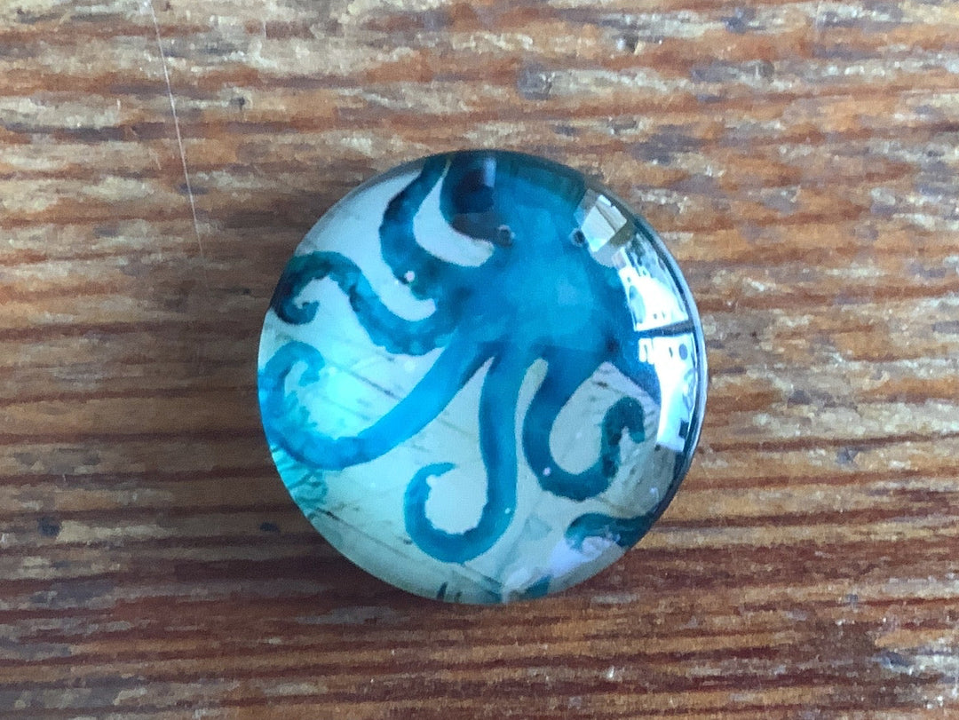 Small Magnet (sea creatures)