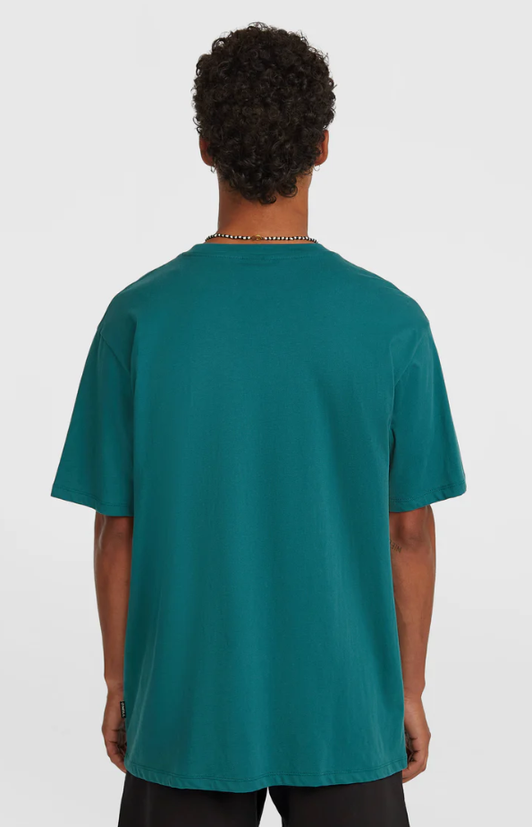 O’Neill O’Riginals Cali T-Shirt - Botanical Heat