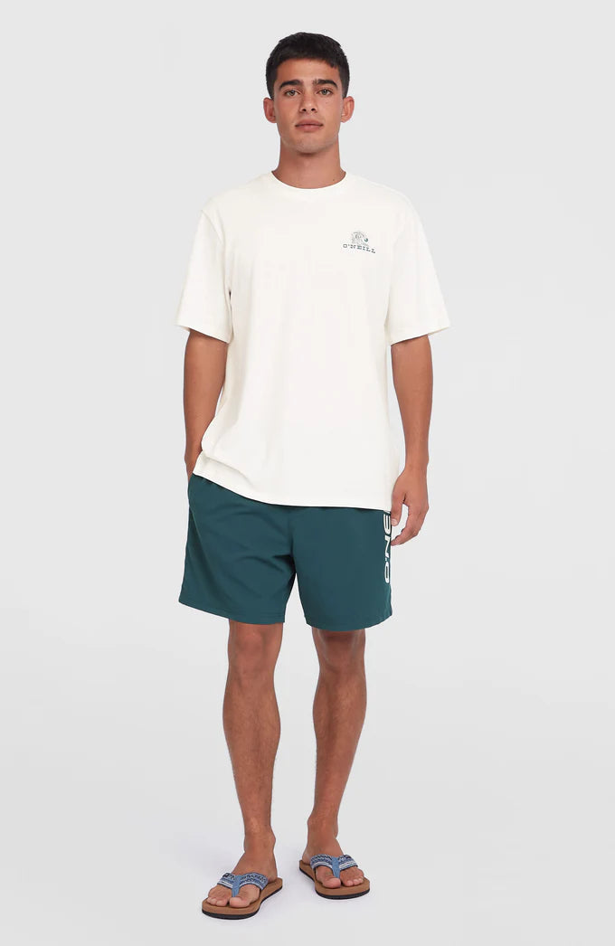 Cali 16” Swim Shorts - Alma Steel