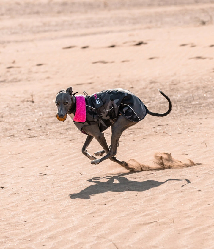 Dryrobe Dog/Pet Jacket - Black Camouflage/Pink