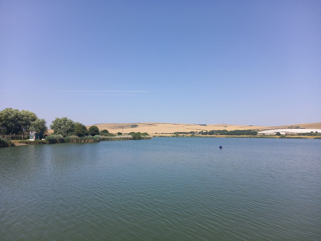 Tranquil lake surrounded by green trees and rolling golden hills under a clear blue sky on a sunny day.