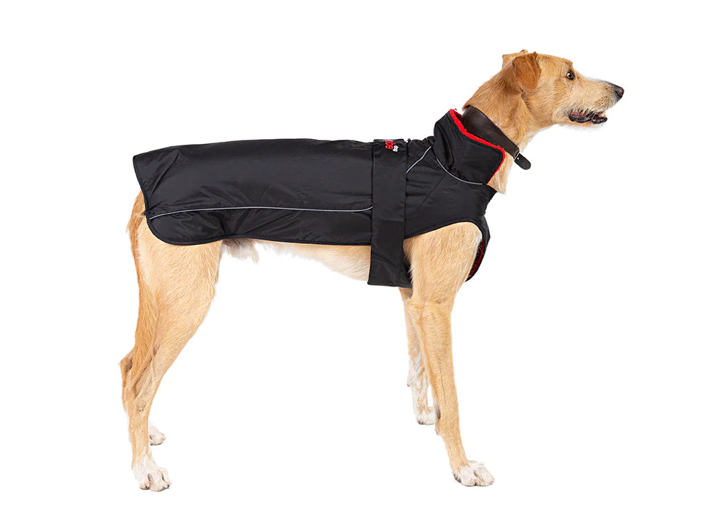 Dryrobe Dog/ Pet Jacket - Black/ Red