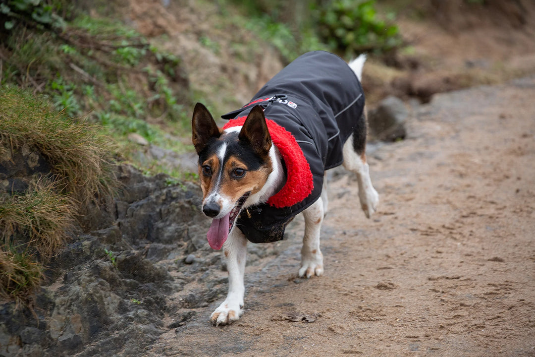 Dryrobe Dog/ Pet Jacket - Black/ Red