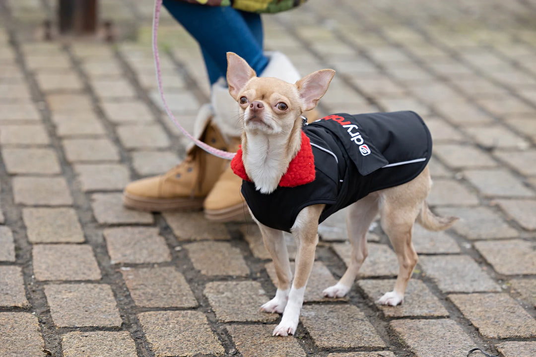 Dryrobe Dog/ Pet Jacket - Black/ Red