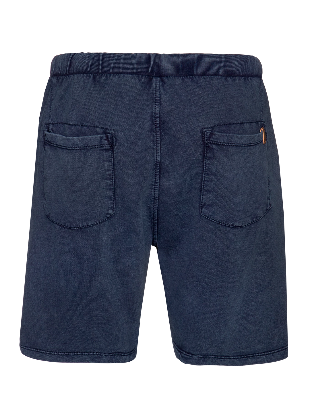 Protest CARVER Men's Jogging Shorts - Blue